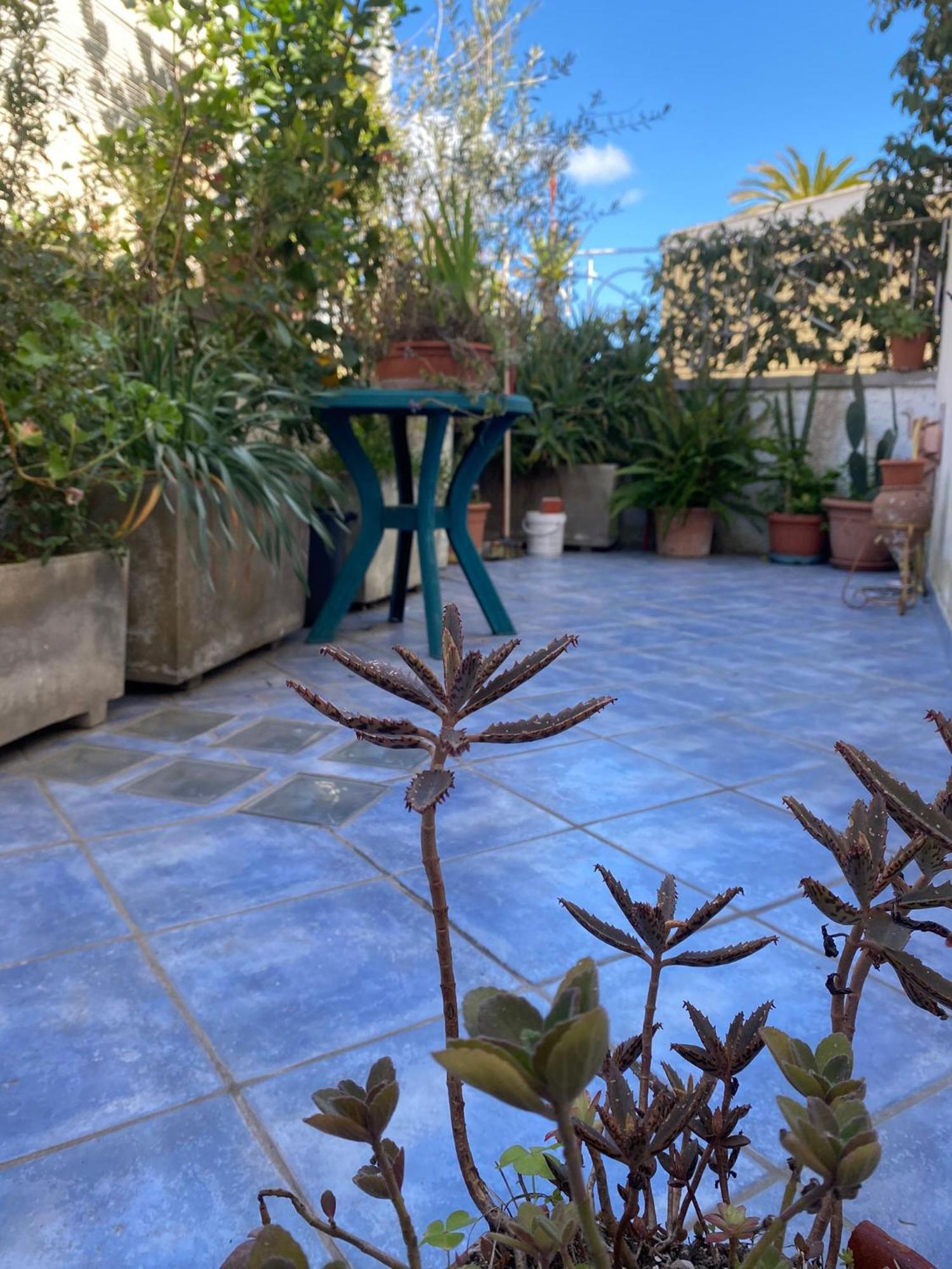 Casa Vacanza Maronti Barano d'Ischia Exterior photo